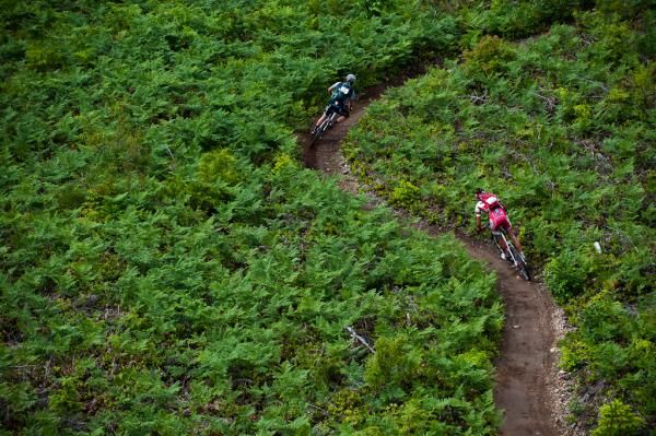 Two riders zip through the ferns at the BC Bike Race