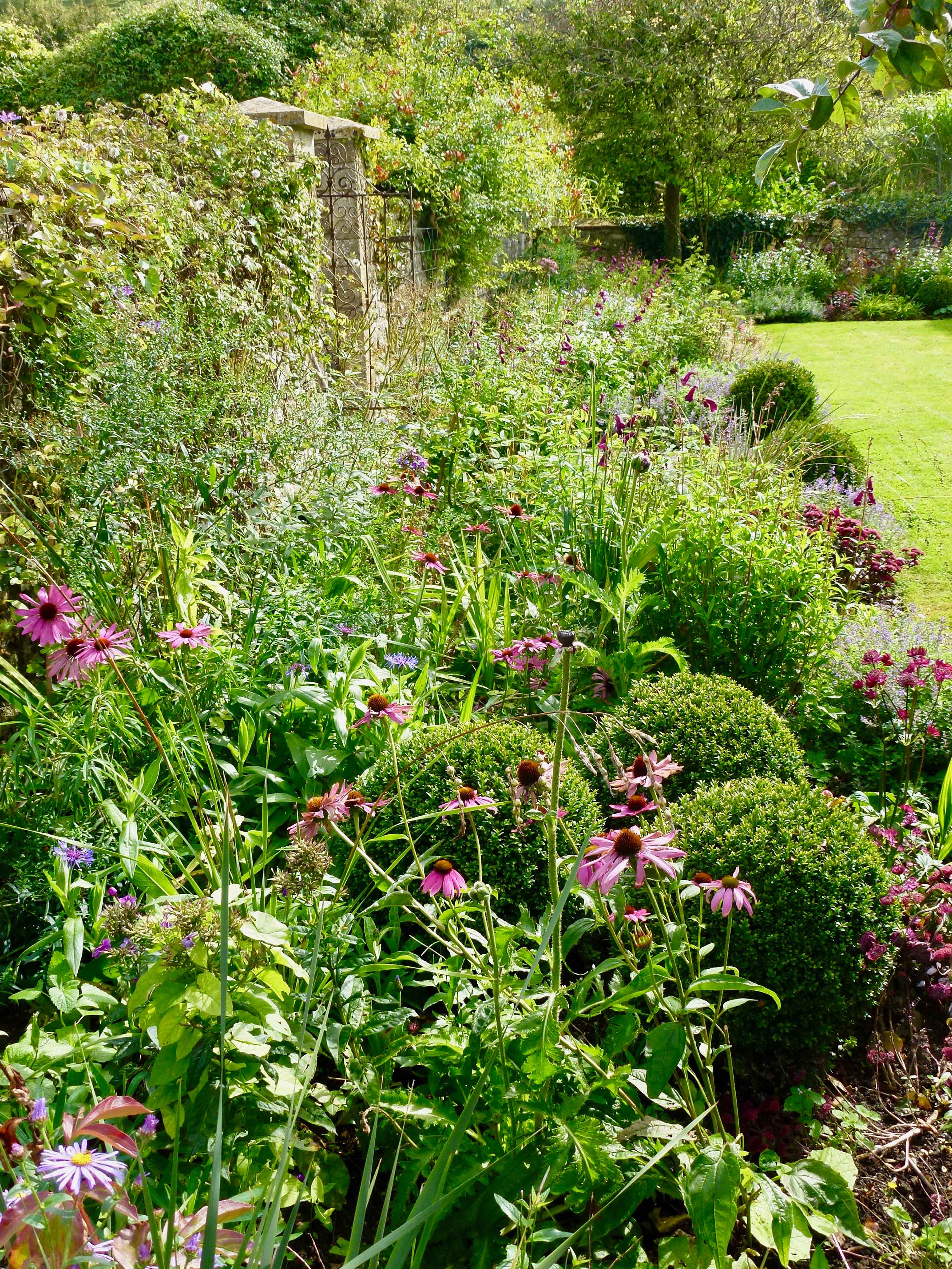 cottage garden border by Fi Boyle garden design