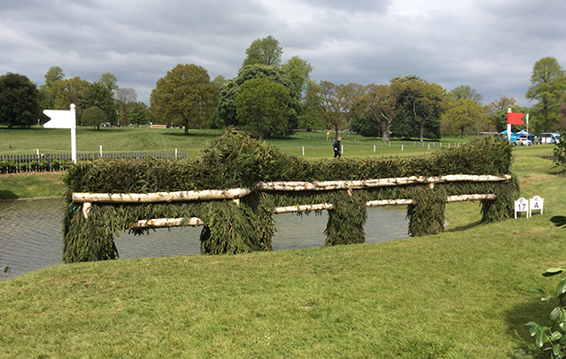 Badminton Fences 2017