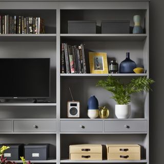 grey shelves with tv and plant pot
