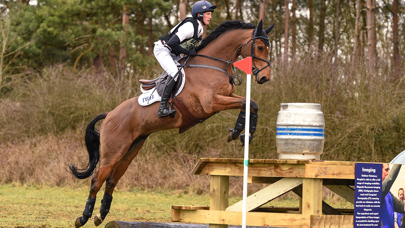 OASBY-HorseNo364_Oasby_PN19_4146_274935451_453492282.jpg
