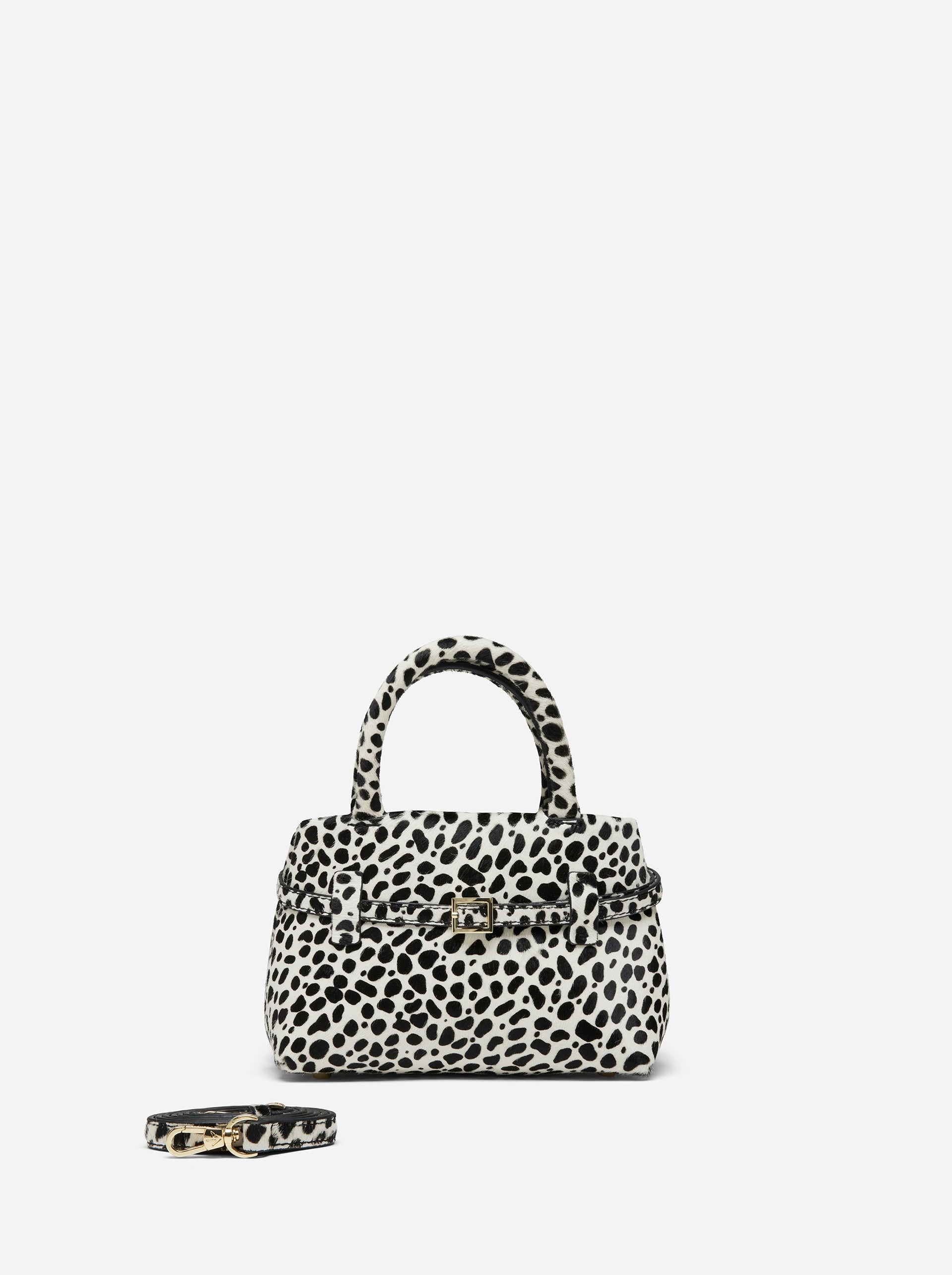 Le Cambon 20 Dalmatian