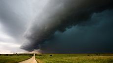 Storm clouds move across a field.