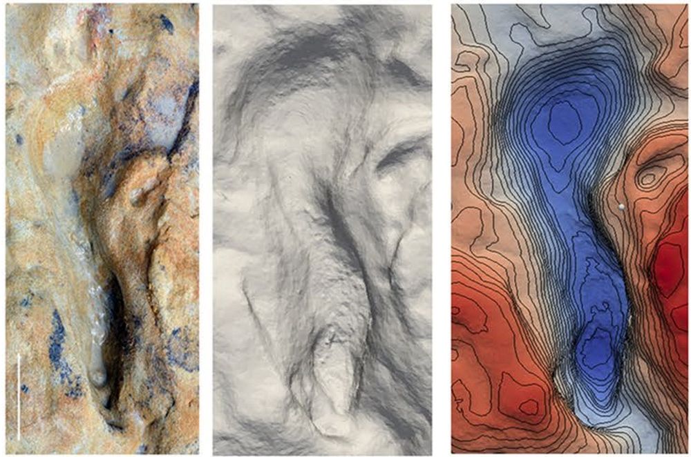 The Neanderthal group that left the footprints may have been hunting, fishing, or gathering shellfish in a brackish watering hole near the coast about 106,000 years ago.