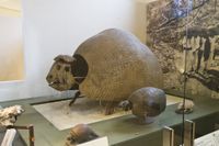 the preserved remains of a huge armadillo-like animal shown on display in a museum alongside the remains of smaller, similar animals