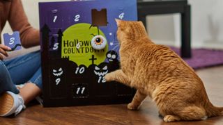 cat halloween advent calendar