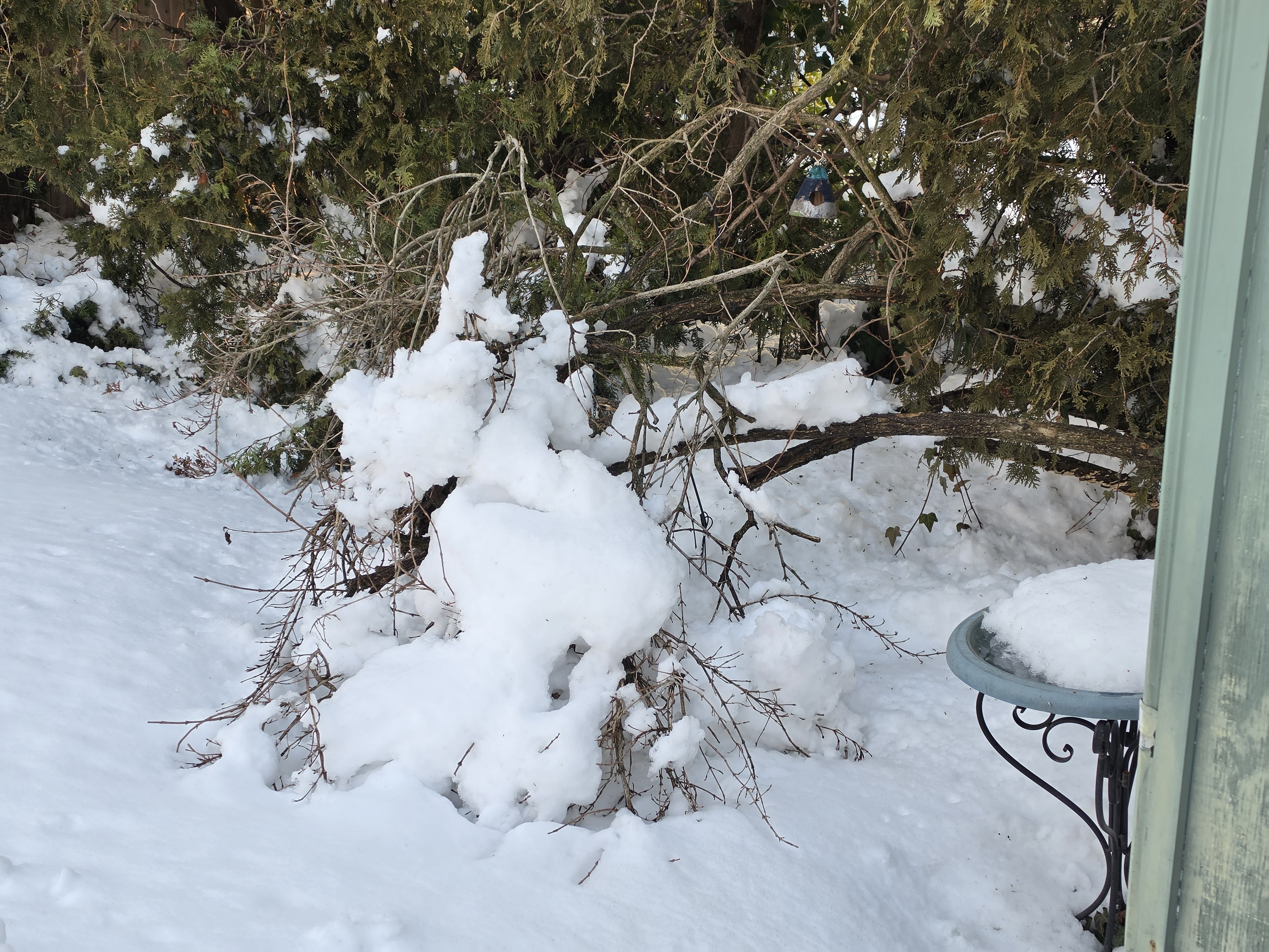 Samsung Galaxy S26 Ultra