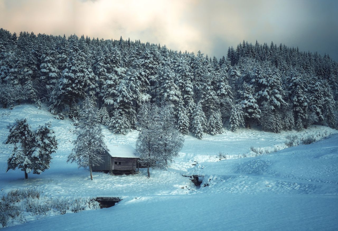 Rie B&oslash;ns&oslash;e - Norway