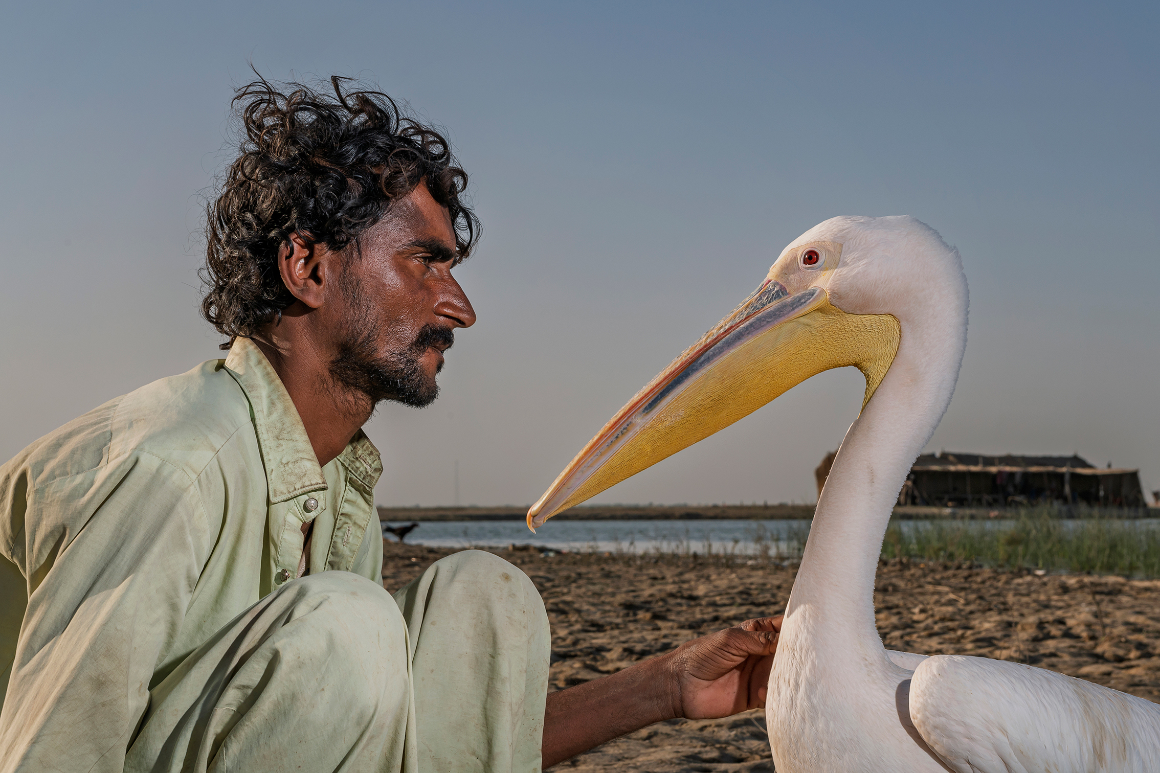 A person kneels on sandy ground next to a large white pelican, with a peaceful river and distant huts in the background