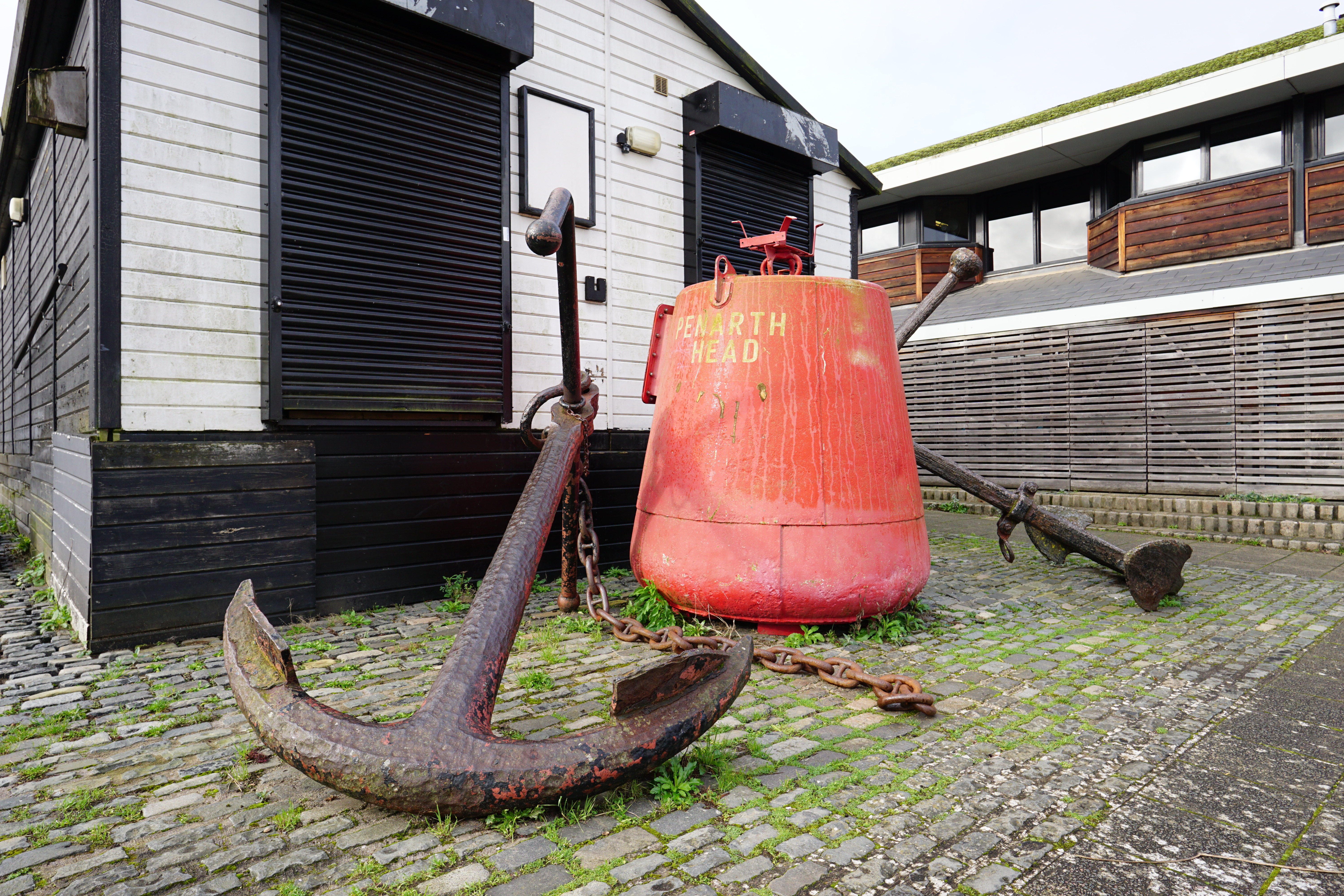 Sigma 15mm f/1.4 DC | C sample image