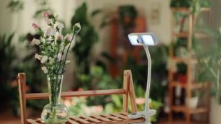Is this every plant lover's dream? This smart camera is built for shooting time-lapses of seeds growing and flowers unfurling