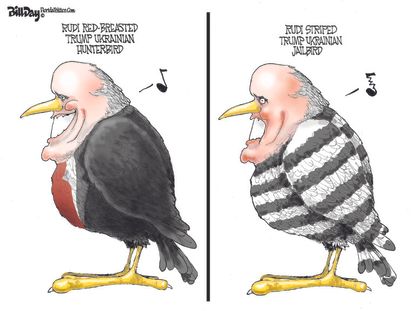 Political Cartoon U.S. rudy giuliani fbi raid ukraine