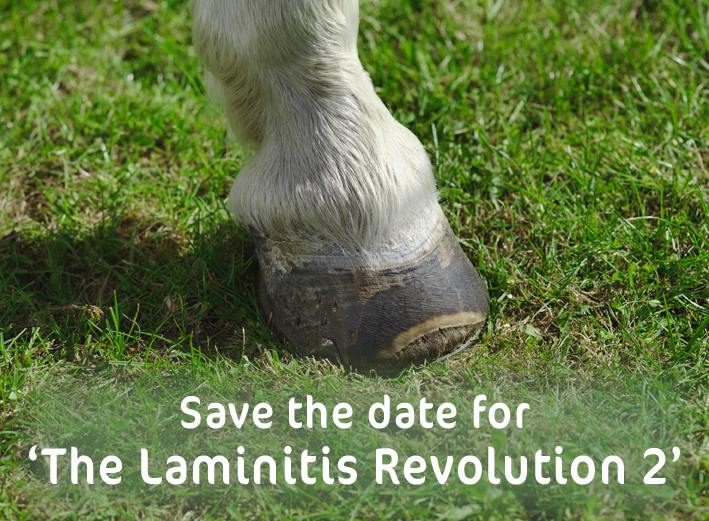 Laminitis Revolution logo