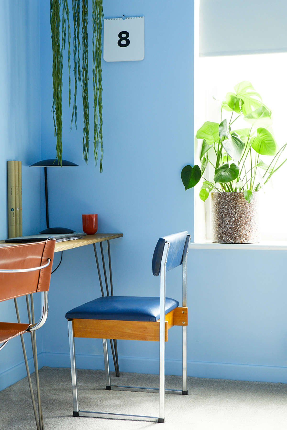 A home office with blue walls