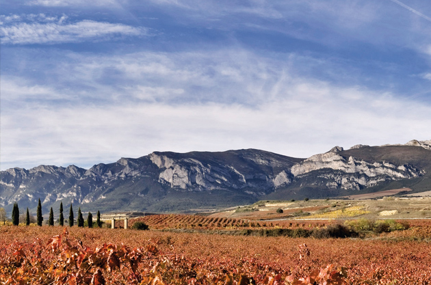 Torre de O&ntilde;a, a 4.25-hectare Tempranillo vineyard