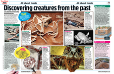 Magazine spread featuring an article about fossils