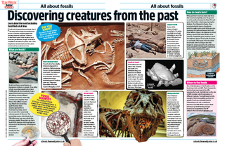 Magazine spread featuring an article about fossils