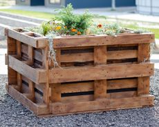 Cheap raised garden bed built out of pallets