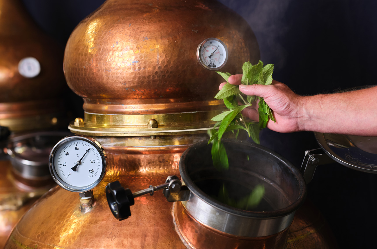 A hand putting plants onto a copper still