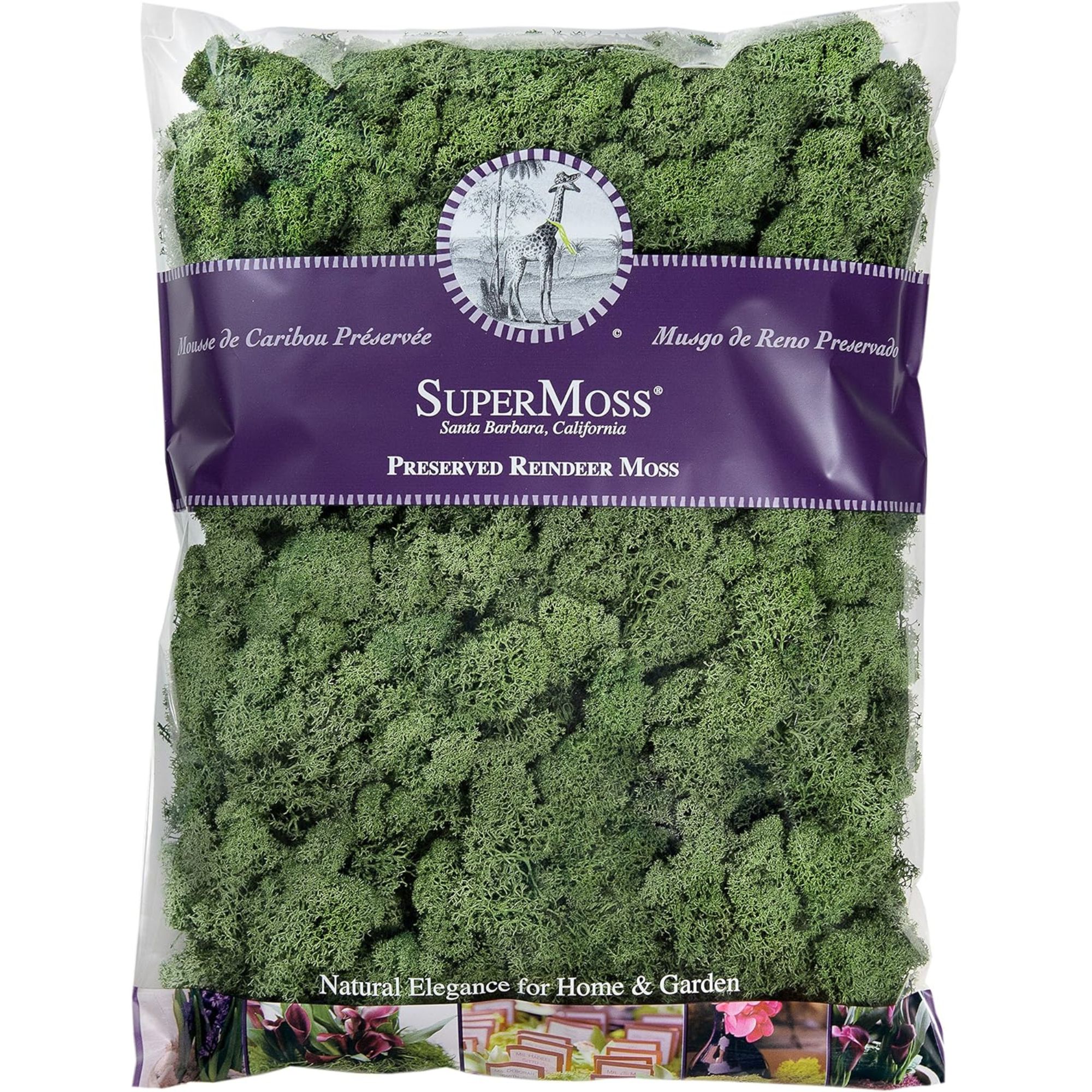 SuperMoss 