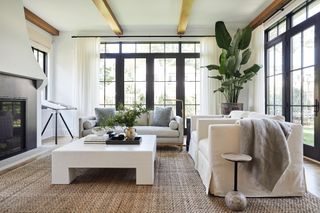 Neutral living room with texture and a large house plant