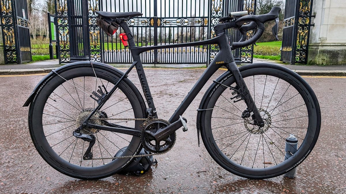 Pearson Forge review: fast and fun road bike with a perfect fit - Vimarsana News