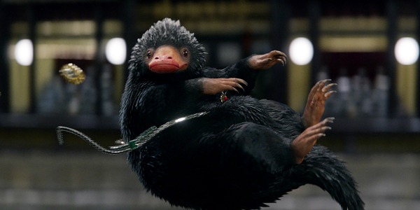 Niffler in Fantastic Beasts