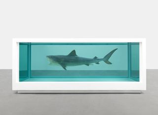 Damien Hirst's Shark