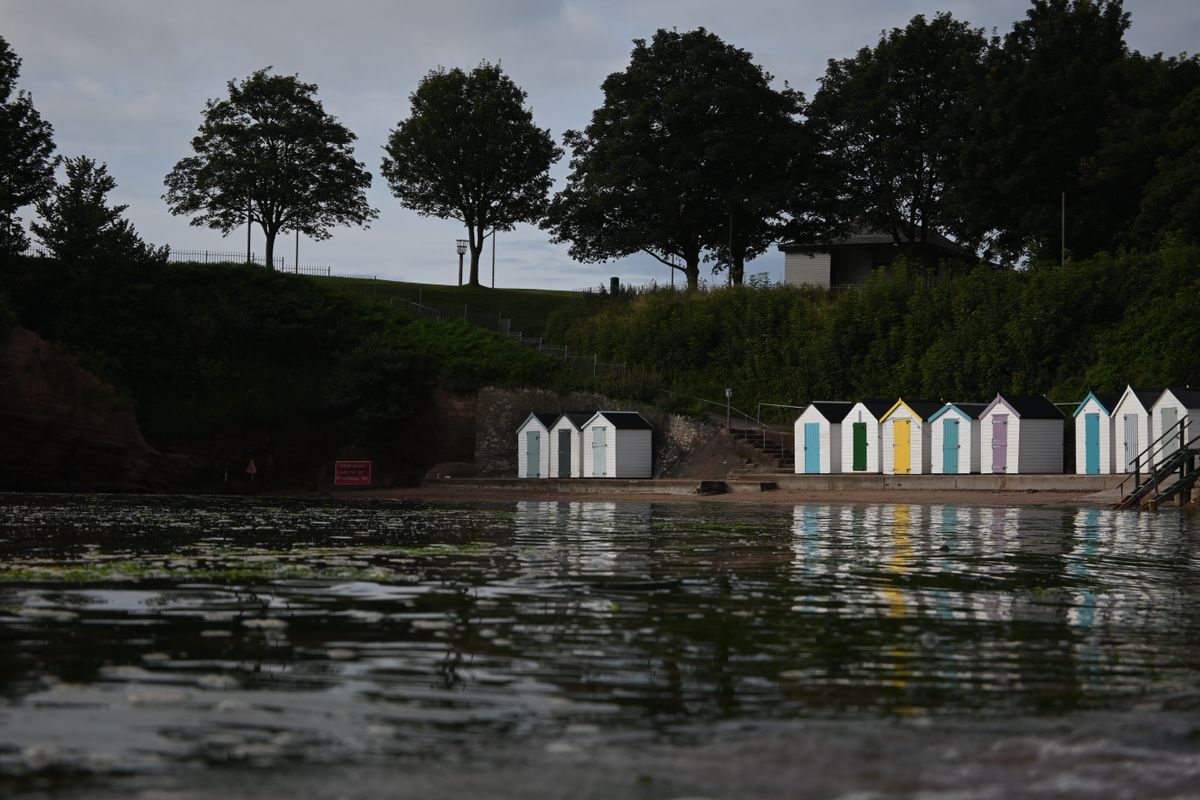 Beach houses in a bay in front of trees