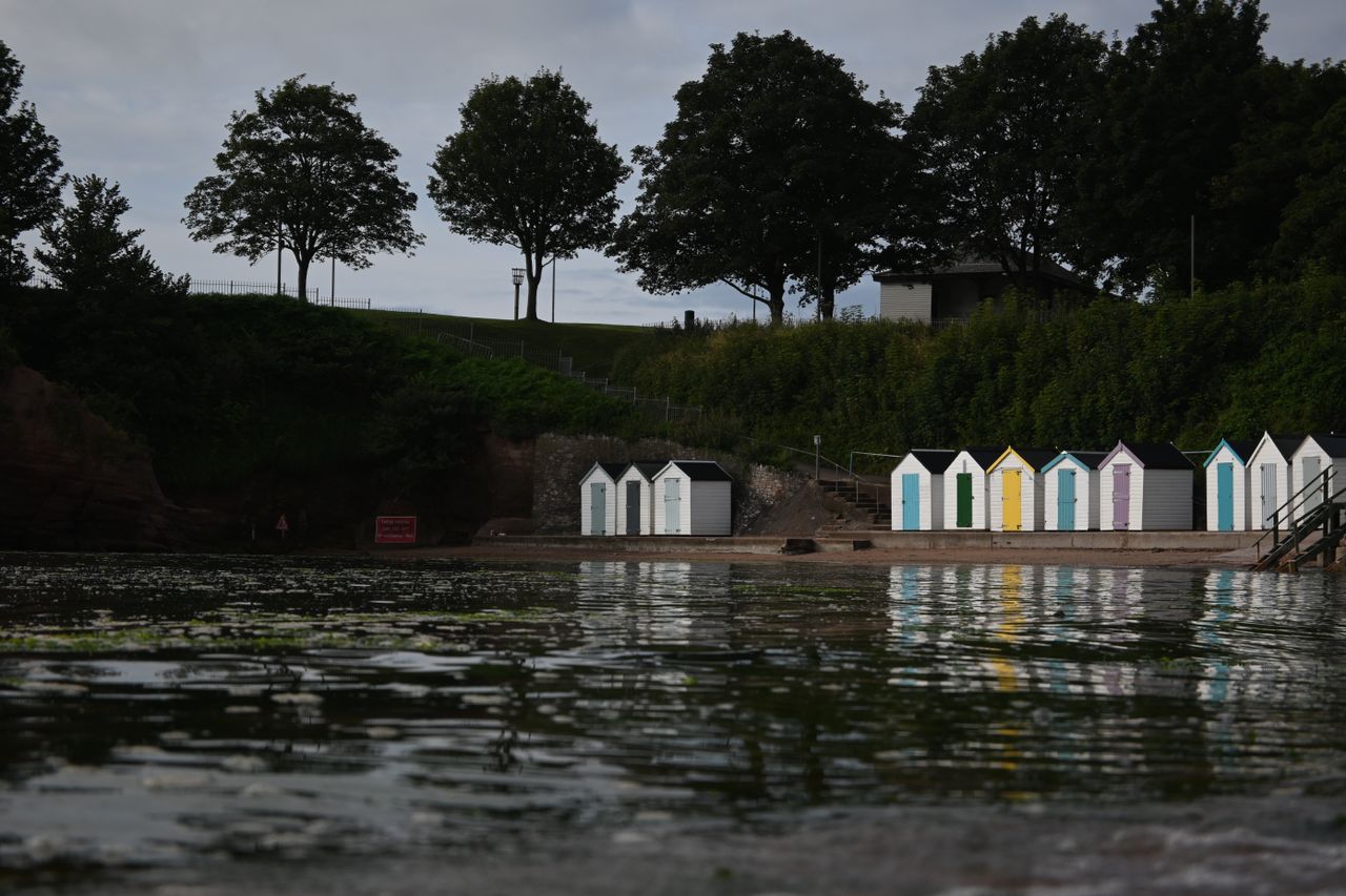 Beach houses in a bay in front of trees