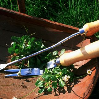 gardening tools with leaves