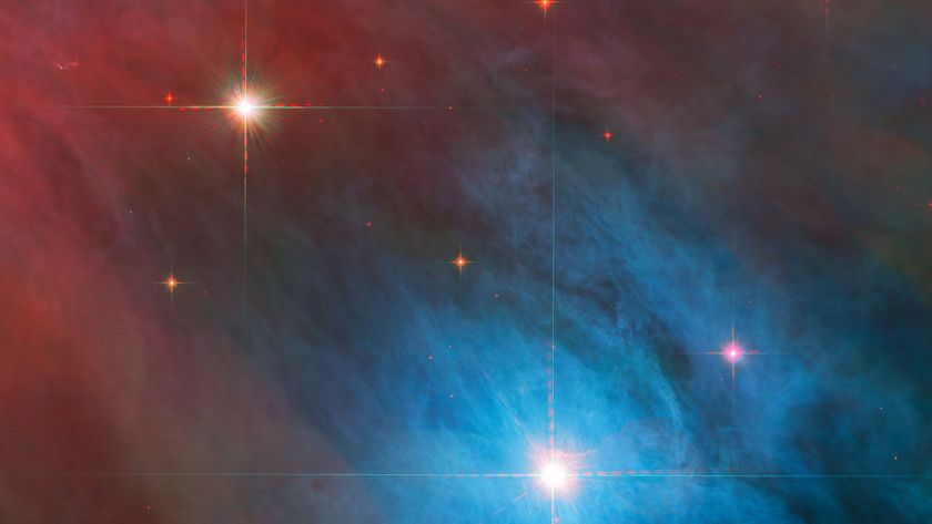 The bright star V 372 Orionis and its companion are captured in this new Hubble image, surrounded by large cross-shaped diffraction spikes. Small red stars with shorter diffraction spikes are scattered around them, against a background of red and blue gas clouds. 