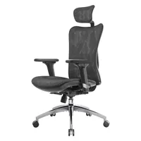 Sihoo ergonomic office chair