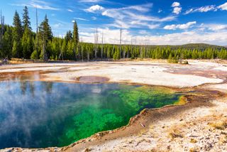 Living near a national park: National Parks to live near - Yellowstone