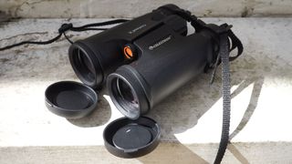 Cheap best sale binoculars review