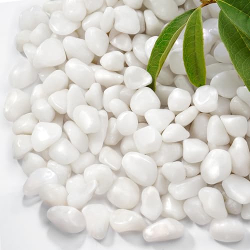 Ruojas 2.2 Lb Natural Polished White Pebbles, 1/2 Inch Decorative White Rocks for Potted Plants Pot Filling Aquariums Outdoor Street Scape Decorative Rocks