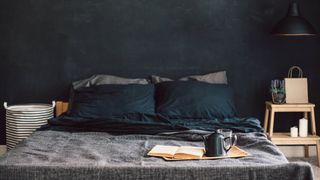 Dark bedroom walls