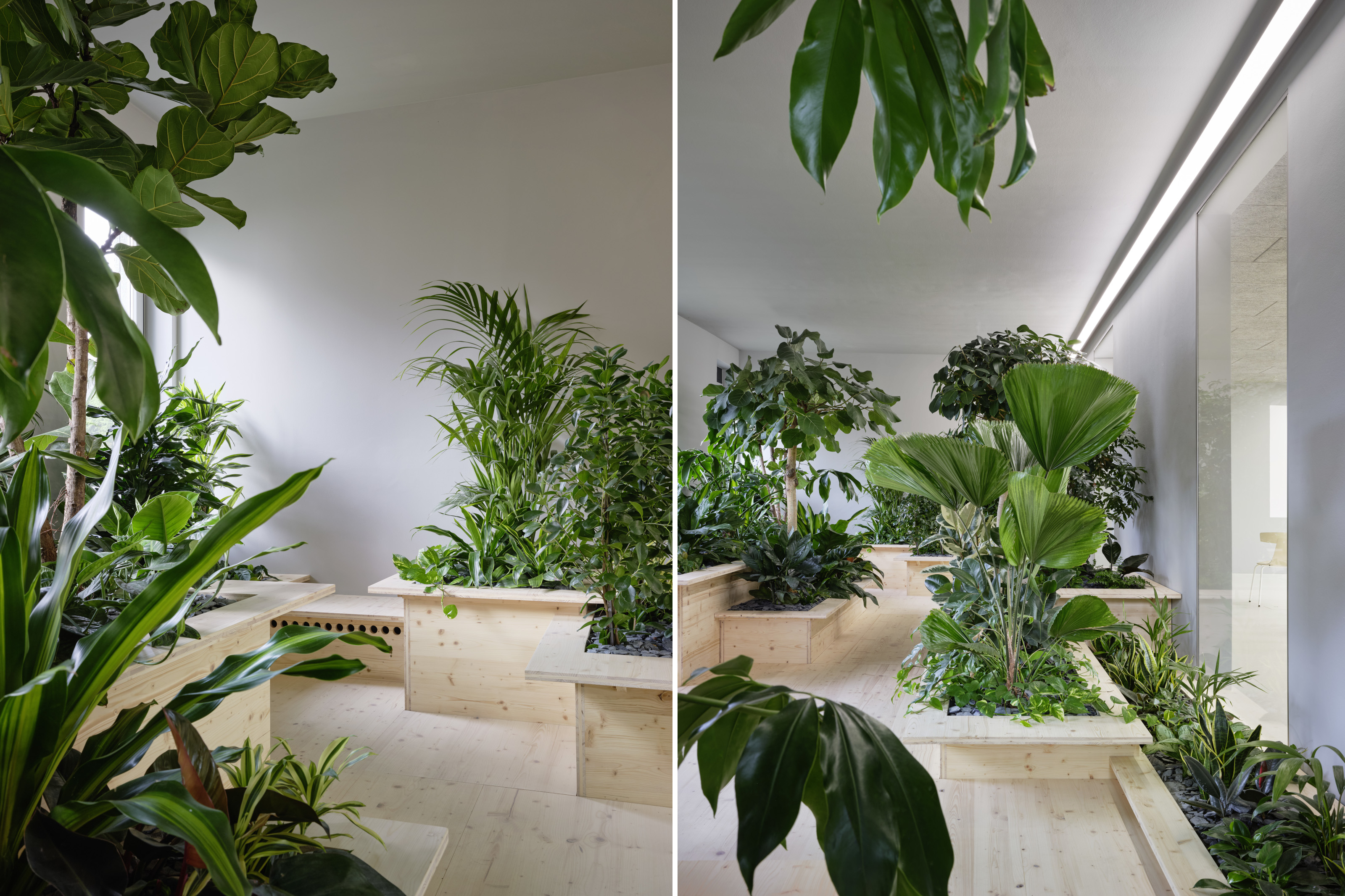 Two views of the internal garden