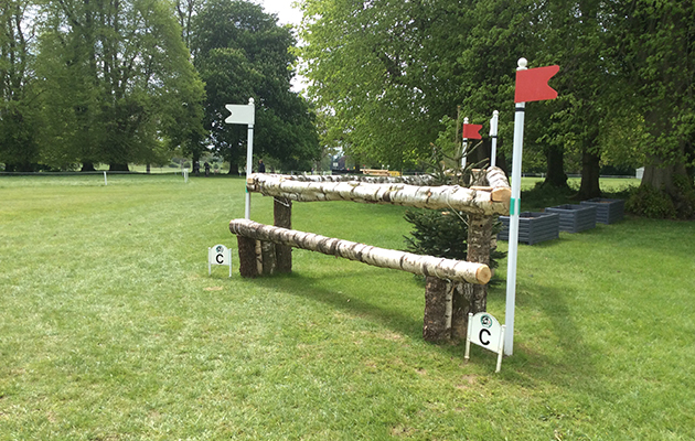 Badminton Fences 2017