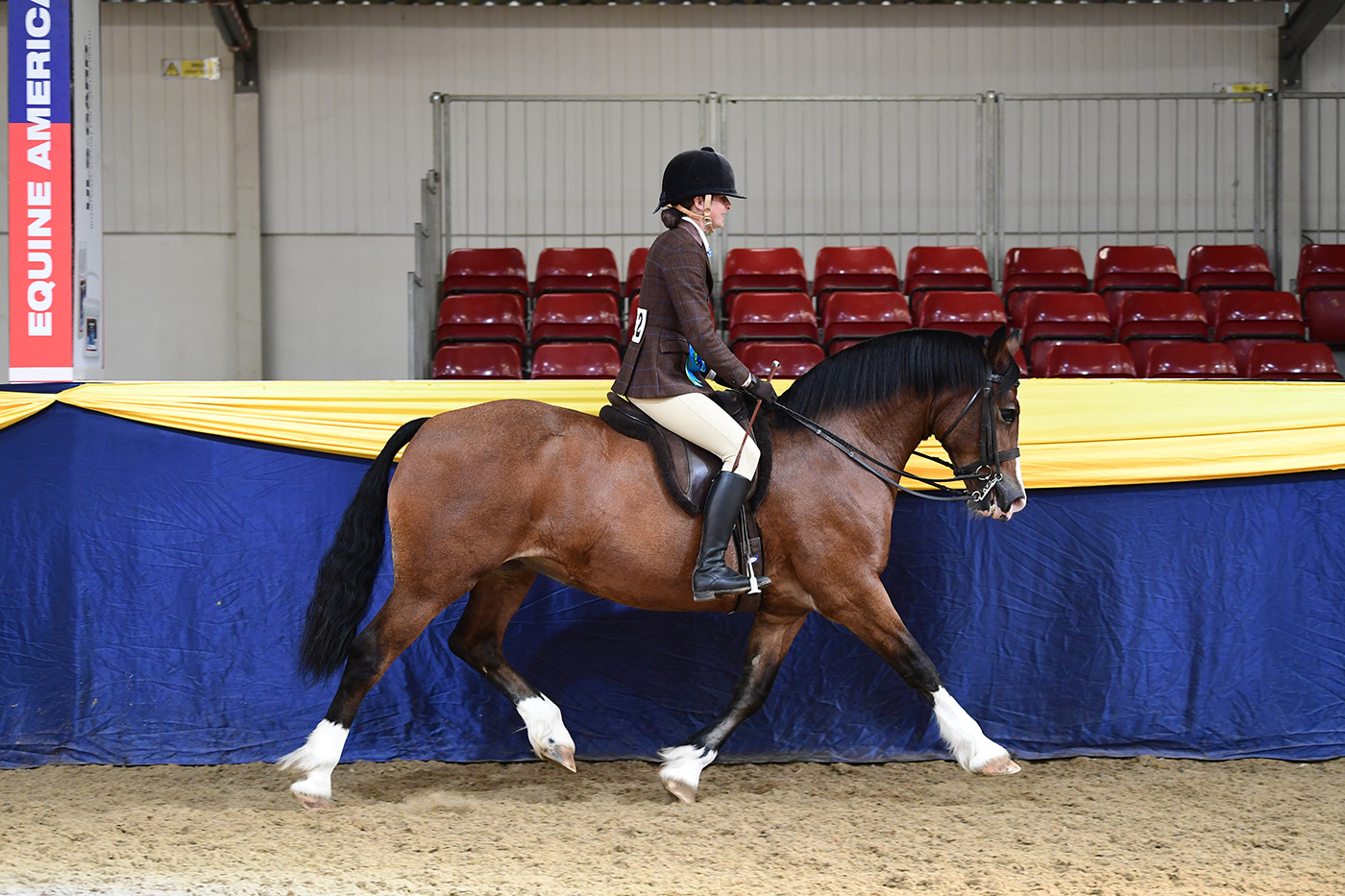Heritage Show 15.10.2378986