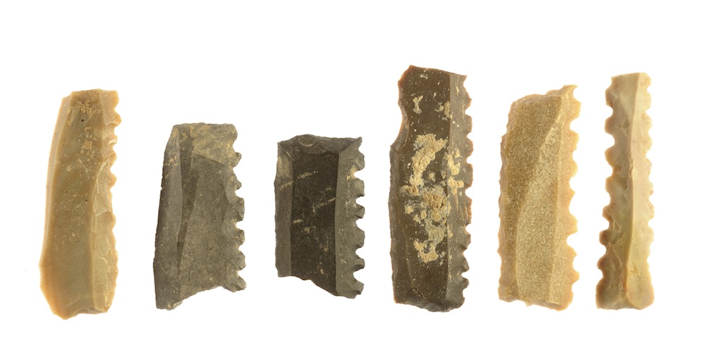 Flint tools from Jezreel well.