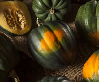 Green and orange acorn squash