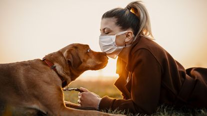 Dog walking woman wearing a protective mask is outdoors because of the corona virus pandemic covid-19