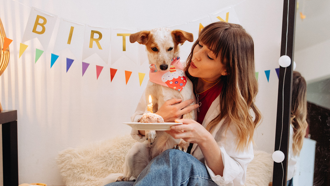 Owner celebrating dog’s birthday with cake