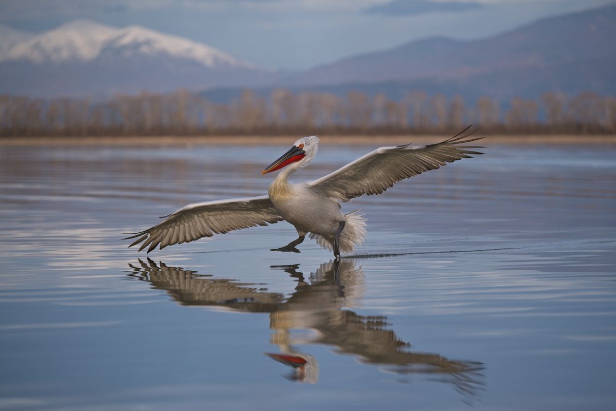 GuruShots: winning photographs from the Personal Perspective contest