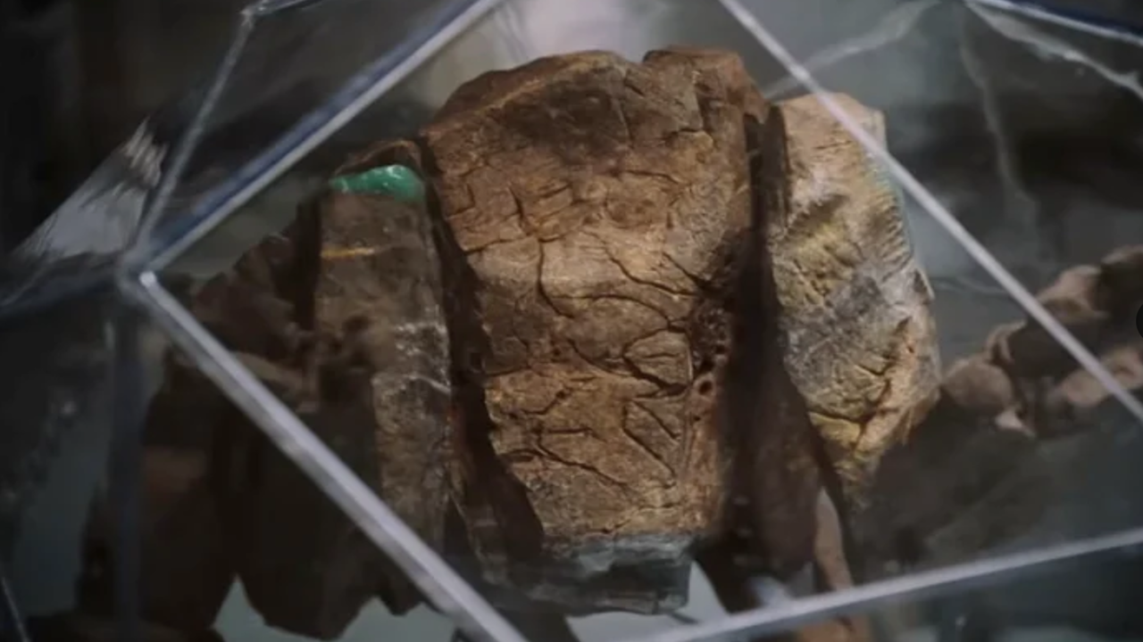 um estranho alienígena de pele de pedra em uma caixa de vidro