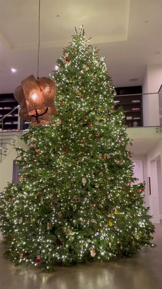 Kylie Jenner shares her giant Christmas tree on Instagram Stories video.