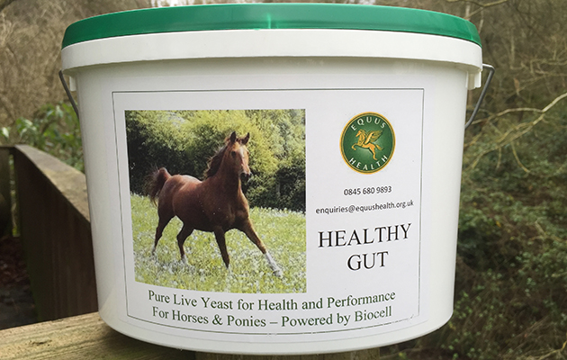 5. Healthy Gut 301115
