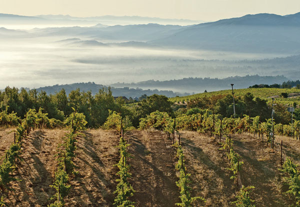 000006585-Santa_Cruz_Mountains_Ridge_Vineyards.jpg