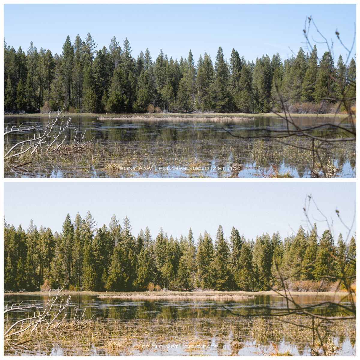 A before and after picture shows a scene with and without the editing preset applied
